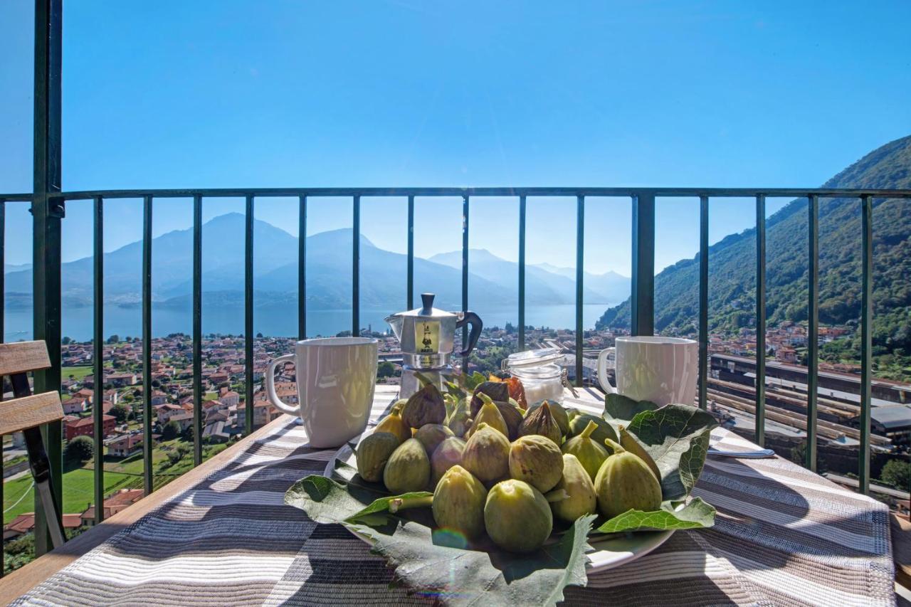 Crotto Palma Apartment Dongo Exterior photo